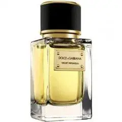 دولتشي آند غابانا فلفت باتشولي