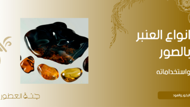 انواع العنبر بالصور واستخداماته واهم ما يميز كل نوع - جنة العطور