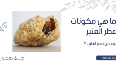 ما هي مكونات عطر العنبر ليذر من قصر الطيب؟ - جنة العطور