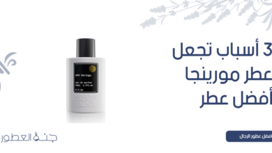 3 أسباب تجعل عطر مورينجا أفضل عطر رجالي رسمي - جنة العطور