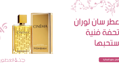 عطر سان لوران  تحفة فنية ستحبها من آول رشة - جنة العطور
