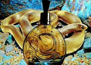 عطر روبرتو كفالي